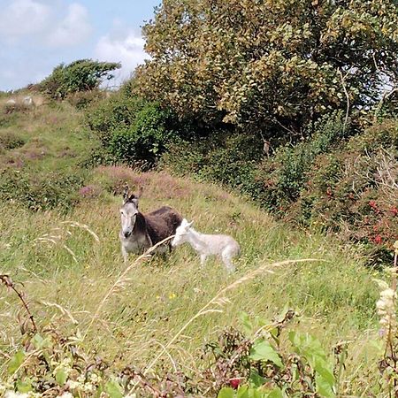 Ballyconneely House Galway Bagian luar foto