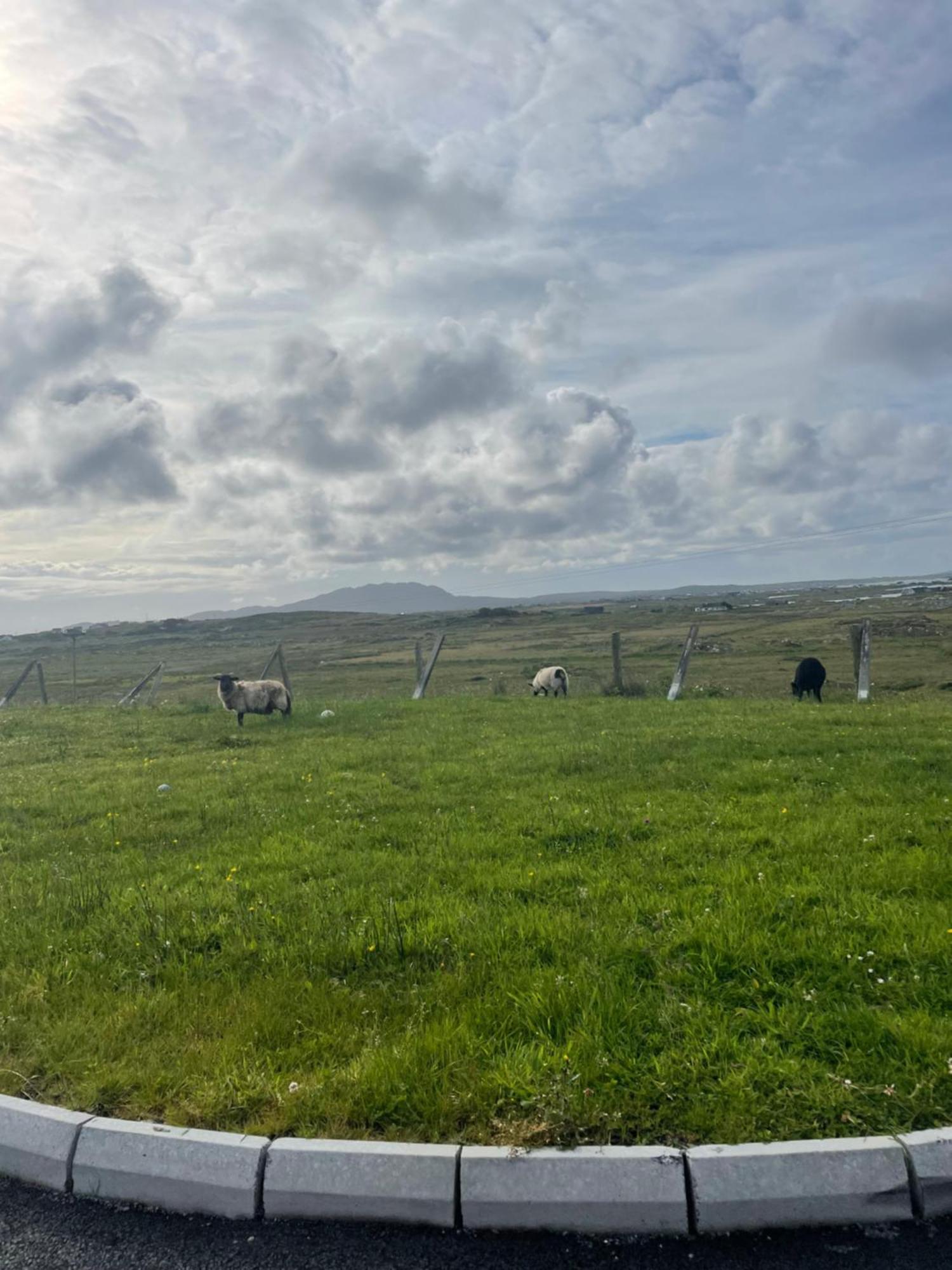 Ballyconneely House Galway Bagian luar foto